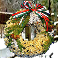 Edible Bird Seed Wreaths